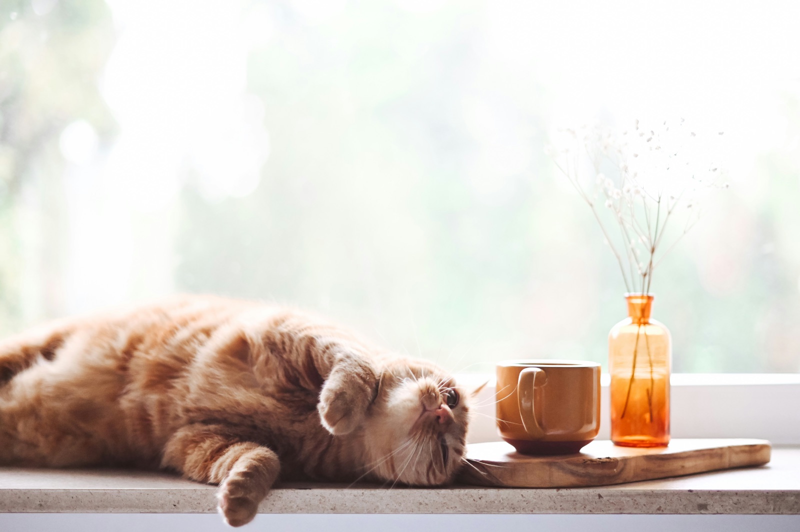 quiet moment at home